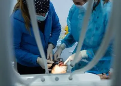 curso de implantes dentales en pacientes